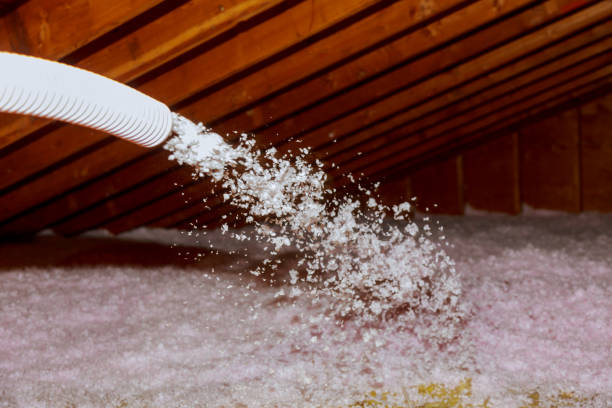 Types of Insulation We Offer in Mapleton, IA