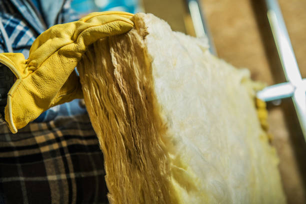 Best Eco-Friendly Insulation in Mapleton, IA