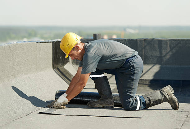 Best Geographic-Specific Insulation Services in Mapleton, IA