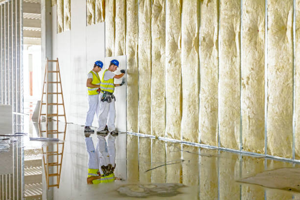 Professional Insulation Contractor in Mapleton, IA